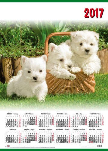 Plakat Polski_Kalendarz 10 B2 - PSY 2017 II gotowe
