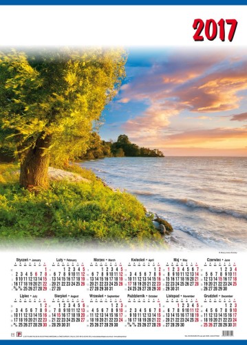 Plakat Polski_Kalendarz 11 B2-ŚNIARDWY_2017 DRUK