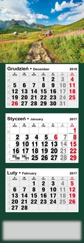 Plakat Polski_Kalendarz 13 III - TATRY 2017_wizualizacja