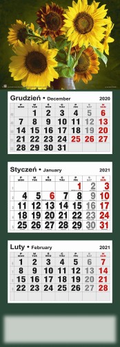 12_trojdzielny_ZAWIESZKA_2021