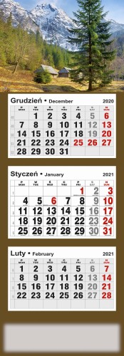 13_trojdzielny_ZAWIESZKA_2021