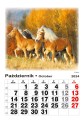 16 - 4 pory ROKU 2024 - 234x334mm-16stron-12.jpg