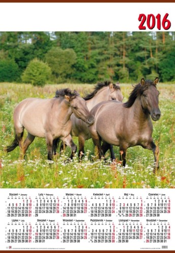 01_KONIE_2016_KALENDARZ